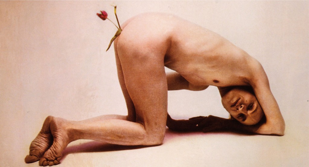 Tulipanonn'ANO, 1980. Fotografia, 105 x 80 cm. Collezione Fabio Sargentini