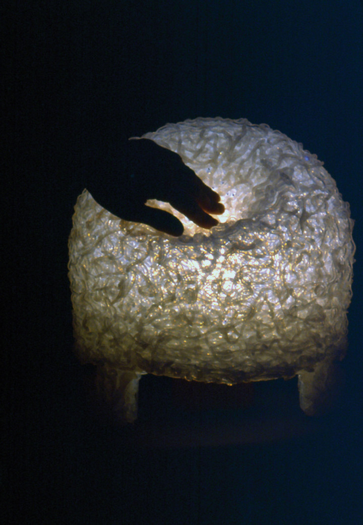 Moss Lamp (1999). 